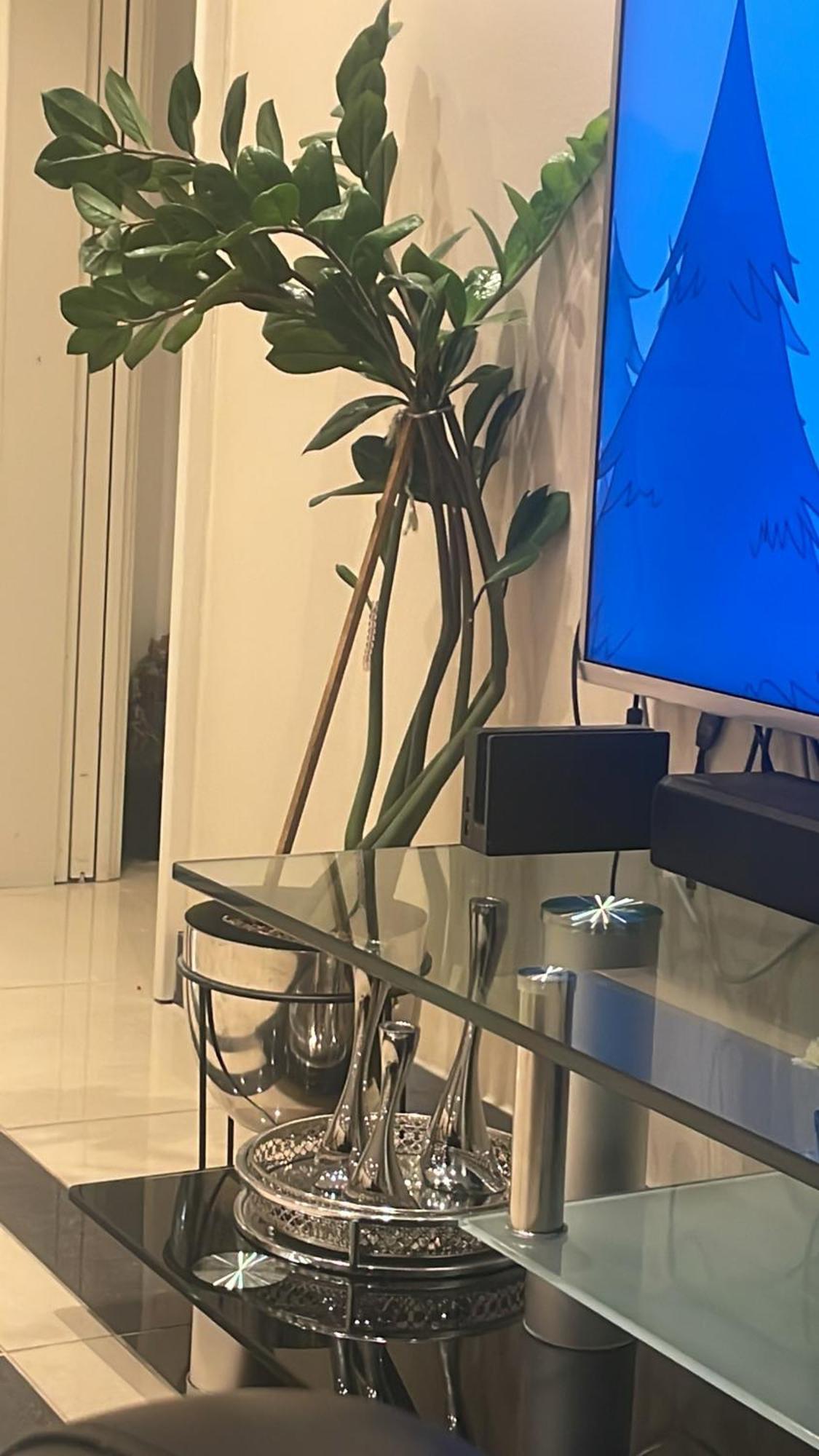 Apartamento Rom Midt I Oslo Sentrum- Ga Avstand Til Det Meste Exterior foto